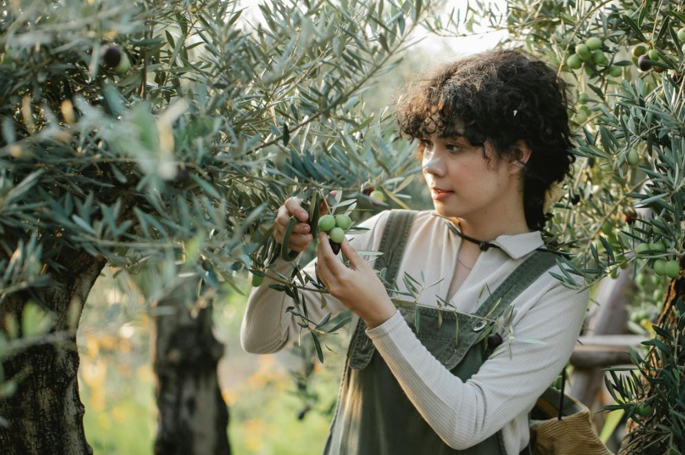 5 mejores tractores compactos según expertos