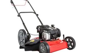 ¿Necesita seguro un cortacésped de más de 25 kg? cesp